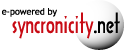 web hosting, web design by syncronicity denver colorado 303.256.4657